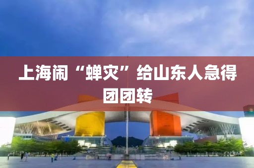 上海闹“蝉灾”给山东人急得团团转