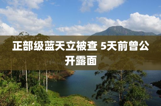 正部级蓝天立被查 5天前曾公开露面