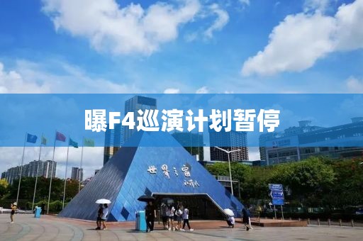 曝F4巡演计划暂停