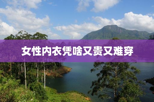 女性内衣凭啥又贵又难穿