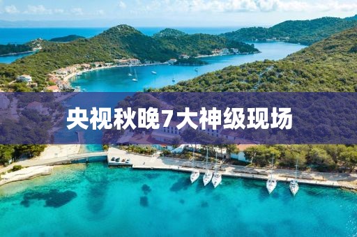 央视秋晚7大神级现场