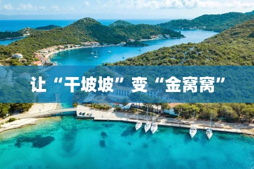 让“干坡坡”变“金窝窝”