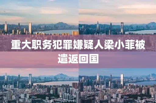 重大职务犯罪嫌疑人梁小菲被遣返回国