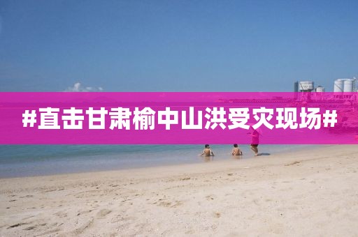 #直击甘肃榆中山洪受灾现场#