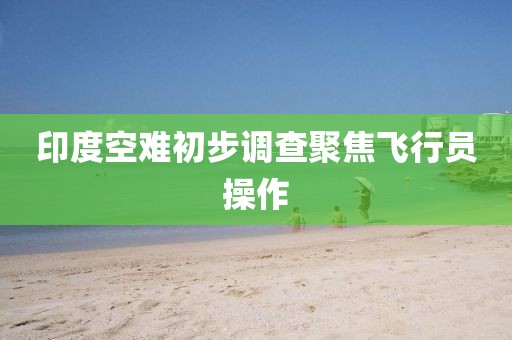 印度空难初步调查聚焦飞行员操作