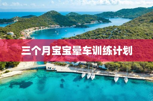 三个月宝宝晕车训练计划
