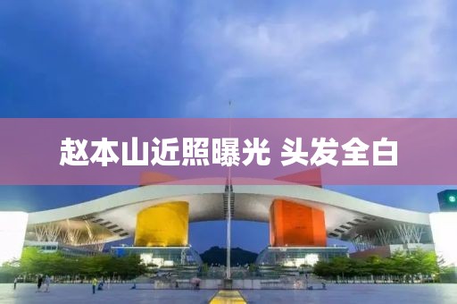 赵本山近照曝光 头发全白