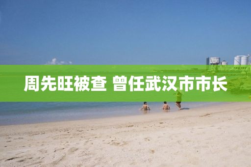周先旺被查 曾任武汉市市长