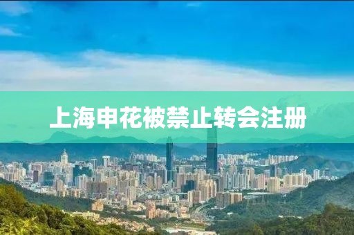 上海申花被禁止转会注册