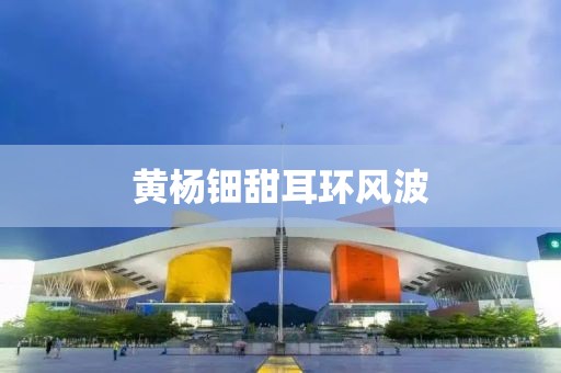 黄杨钿甜耳环风波