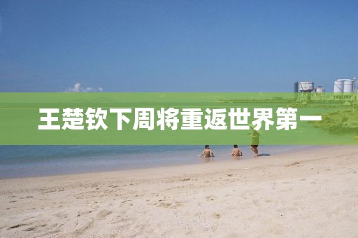 王楚钦下周将重返世界第一