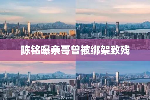 陈铭曝亲哥曾被绑架致残