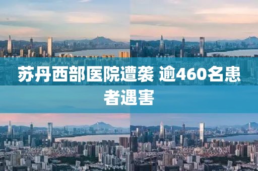 苏丹西部医院遭袭 逾460名患者遇害