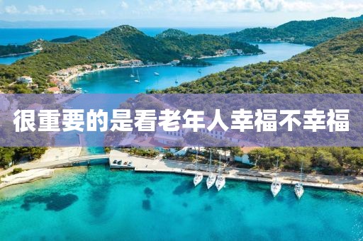 很重要的是看老年人幸福不幸福