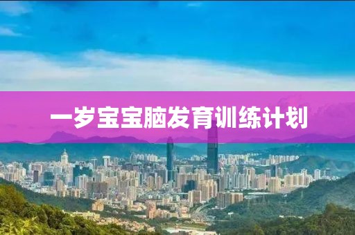一岁宝宝脑发育训练计划
