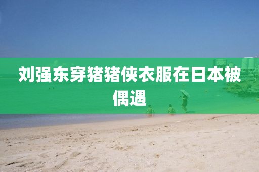 刘强东穿猪猪侠衣服在日本被偶遇