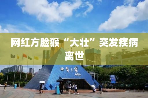 网红方脸猴“大壮”突发疾病离世