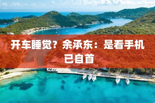 开车睡觉？余承东：是看手机 已自首