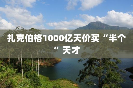 扎克伯格1000亿天价买“半个”天才
