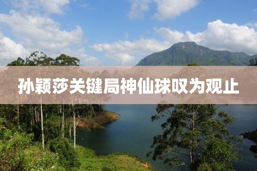 孙颖莎关键局神仙球叹为观止
