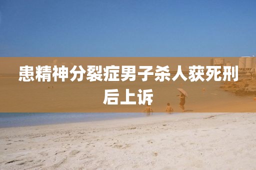 患精神分裂症男子杀人获死刑后上诉