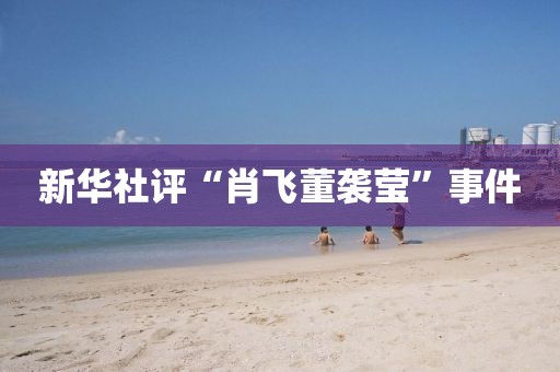 新华社评“肖飞董袭莹”事件