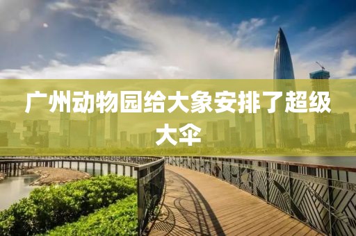 广州动物园给大象安排了超级大伞