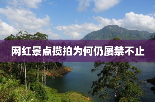 网红景点揽拍为何仍屡禁不止