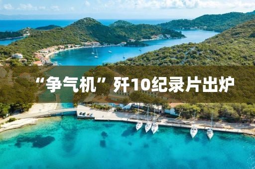 “争气机”歼10纪录片出炉