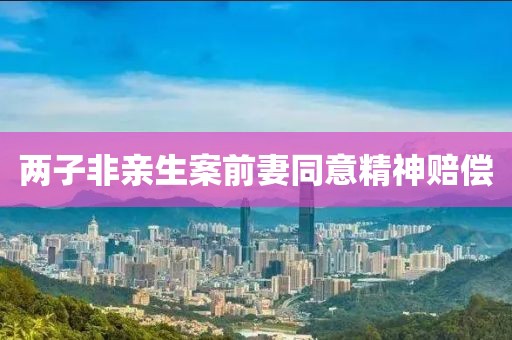 两子非亲生案前妻同意精神赔偿