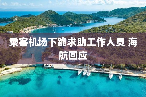 乘客机场下跪求助工作人员 海航回应