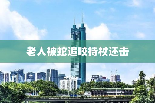 老人被蛇追咬持杖还击