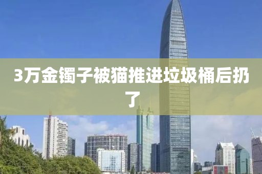 3万金镯子被猫推进垃圾桶后扔了