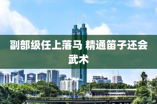 副部级任上落马 精通笛子还会武术