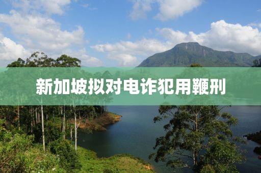 新加坡拟对电诈犯用鞭刑