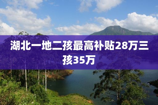 湖北一地二孩最高补贴28万三孩35万