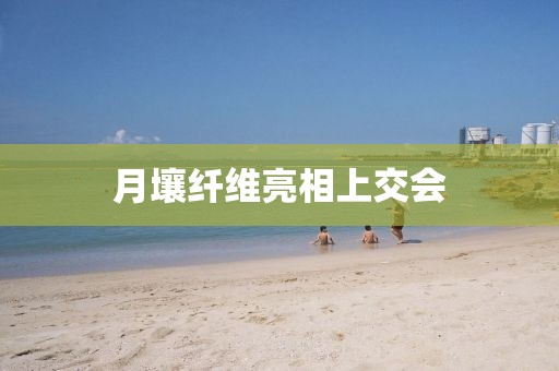 月壤纤维亮相上交会