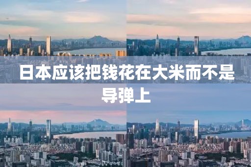 日本应该把钱花在大米而不是导弹上