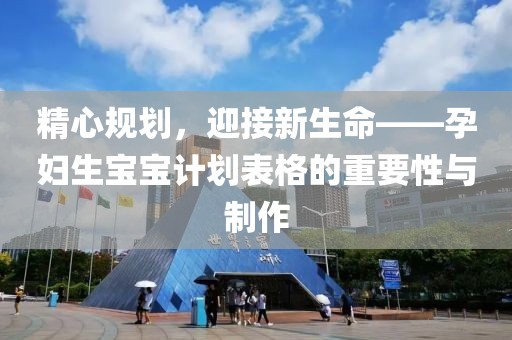 精心规划，迎接新生命——孕妇生宝宝计划表格的重要性与制作