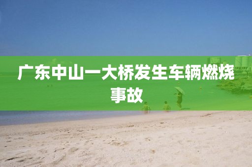 广东中山一大桥发生车辆燃烧事故