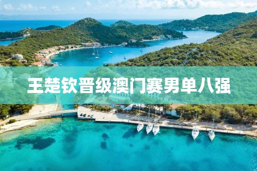 王楚钦晋级澳门赛男单八强