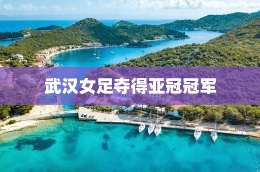武汉女足夺得亚冠冠军