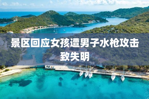 景区回应女孩遭男子水枪攻击致失明