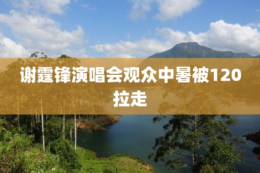 谢霆锋演唱会观众中暑被120拉走
