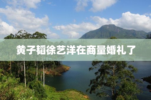 黄子韬徐艺洋在商量婚礼了