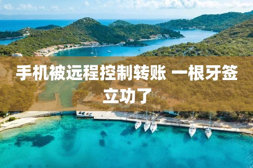 手机被远程控制转账 一根牙签立功了