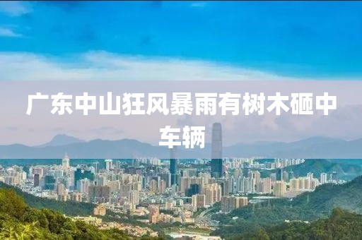 广东中山狂风暴雨有树木砸中车辆