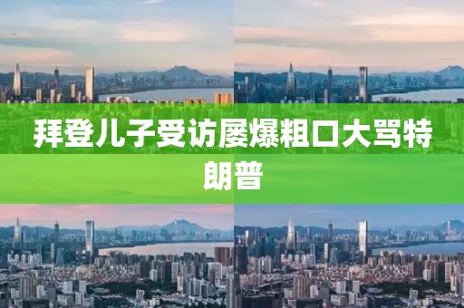 拜登儿子受访屡爆粗口大骂特朗普