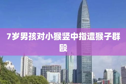 7岁男孩对小猴竖中指遭猴子群殴