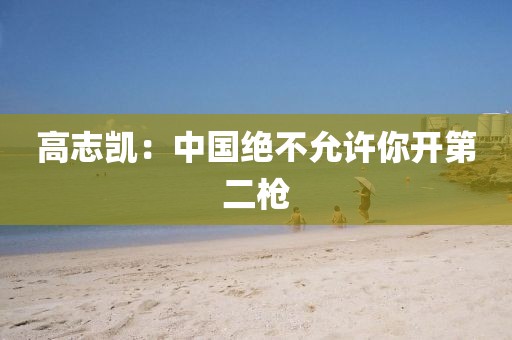 高志凯：中国绝不允许你开第二枪